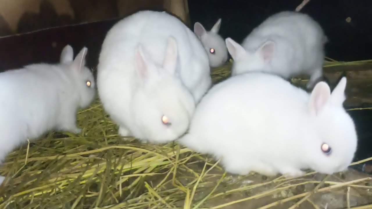 OBUNACHILARIM UCHUN SKIDKA