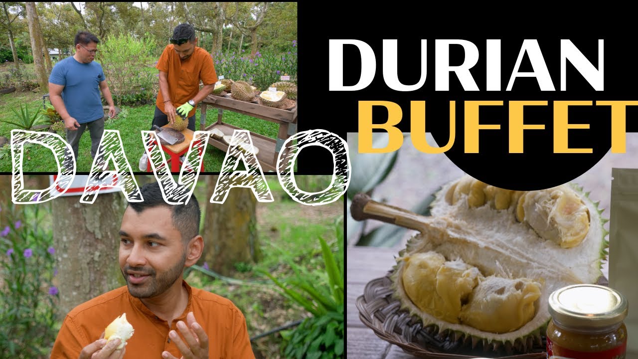 #Davao #DURIAN madness!! Straight from the Tree in a Durian Farm! #philippines