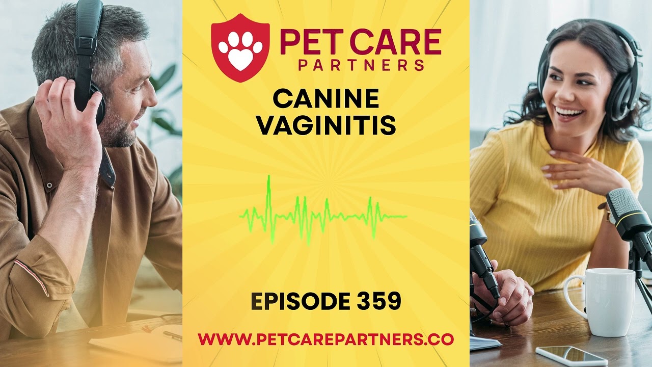 EP 359: Canine Vaginitis &ndash; Causes, Diagnosis & Treatment Strategies | Pet Care Partners Podcast