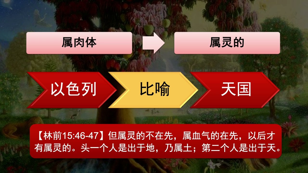 关于婴儿洗的视频合集