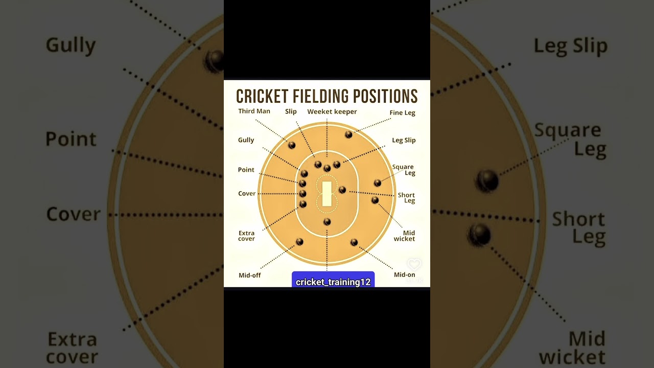 where is the filter in cricket #cricket #shots #youtube #crickelover 🥰🥰👍💯