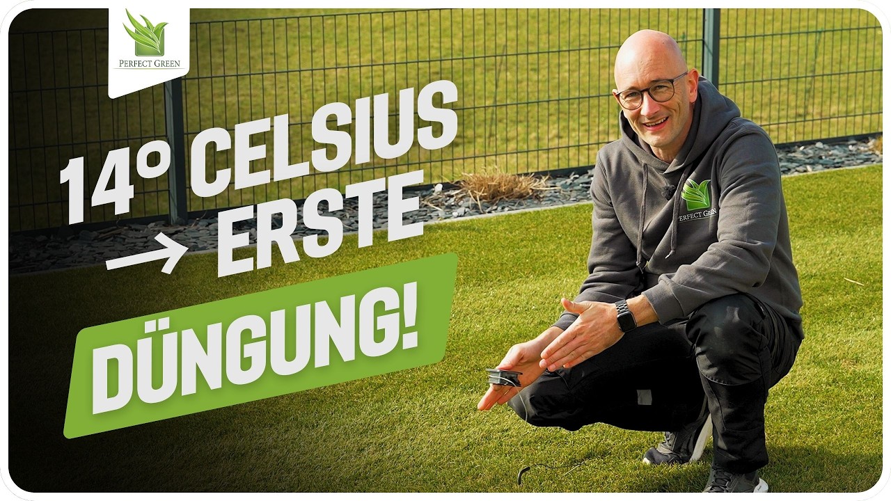 🌱 Erste Rasendüngung 2026 - Diese Fehler solltest du vermeiden🌱