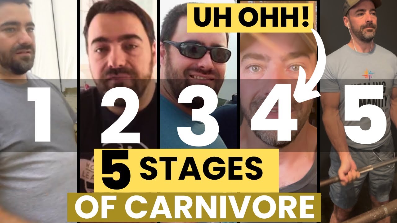 The 5 Stages of Carnivore (New)