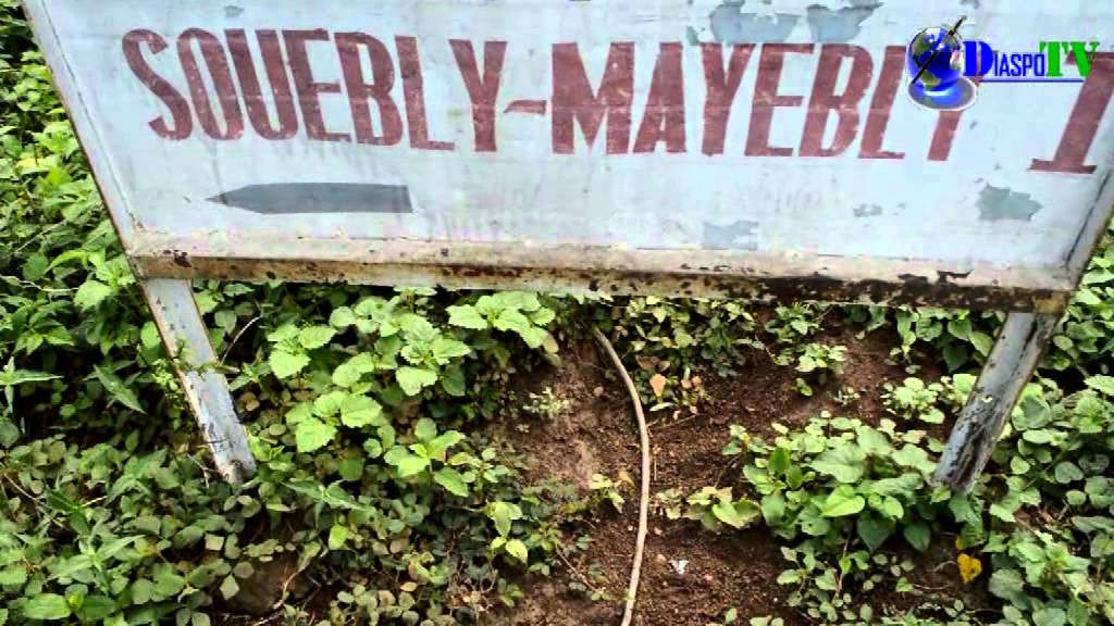 Reboisement et Construction en Matériaux locaux en Côte d'Ivoire