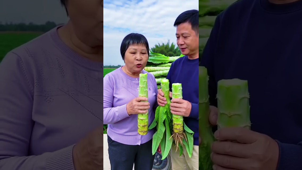 Amazing Smart Farming Machine 🚜🌱 | Fast Leaf Harvesting in the Field📝 Description