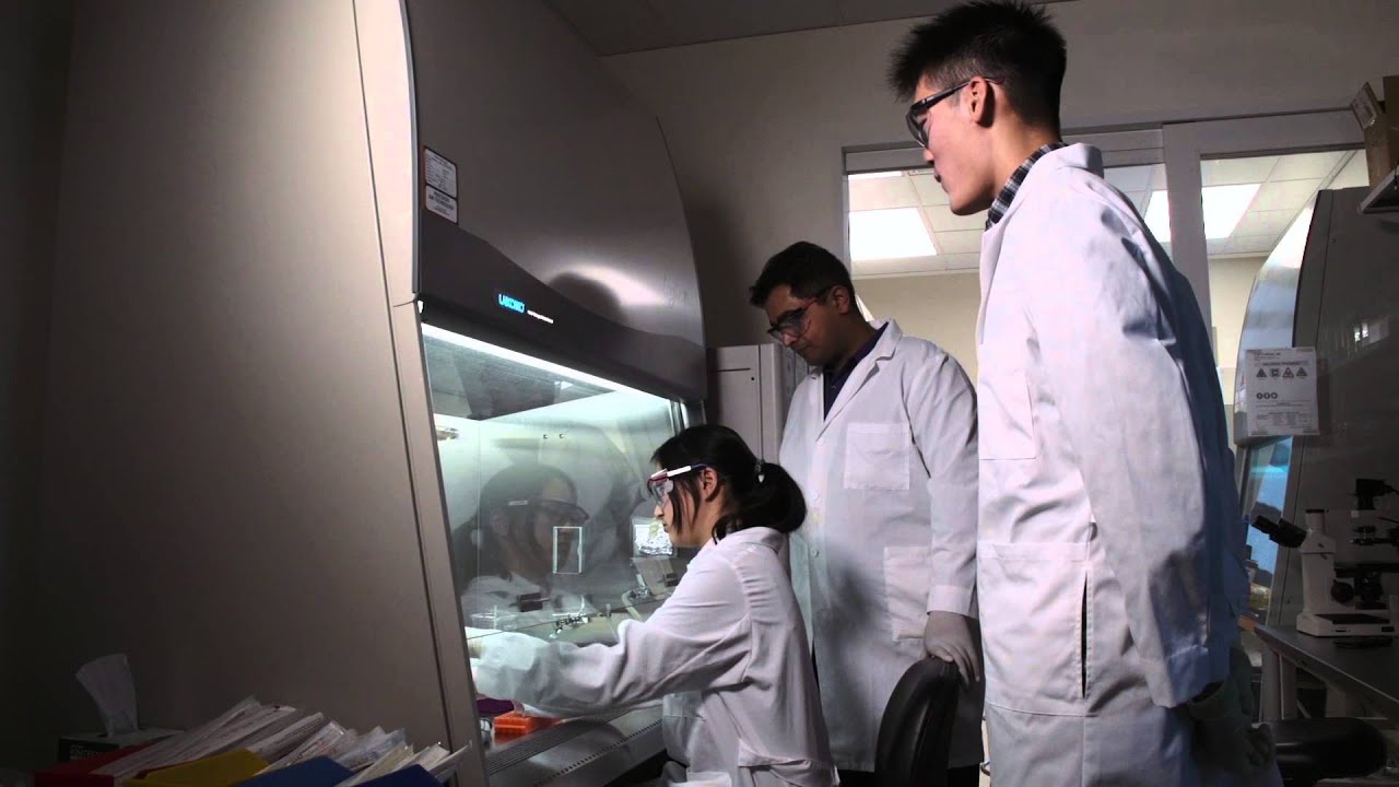 Hydrogels deliver on blood-vessel growth
