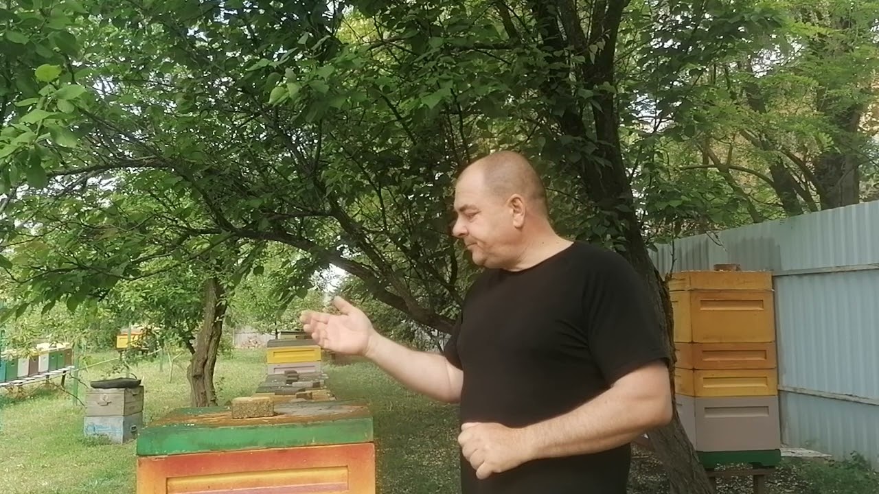 Больше майского меду, при слабом взятке.