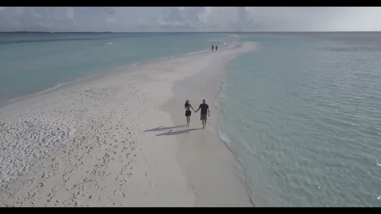 G-FORCE – WONDERFUL WORLD, BEAUTIFUL PEOPLE #fyp #fypシ #fypシ゚viral