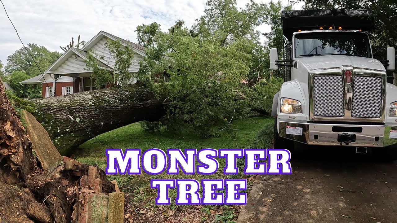 The New Debris Truck's First Job Is a Monster Storm Damage Tree.  Kenworth T880 EPSILON Loader