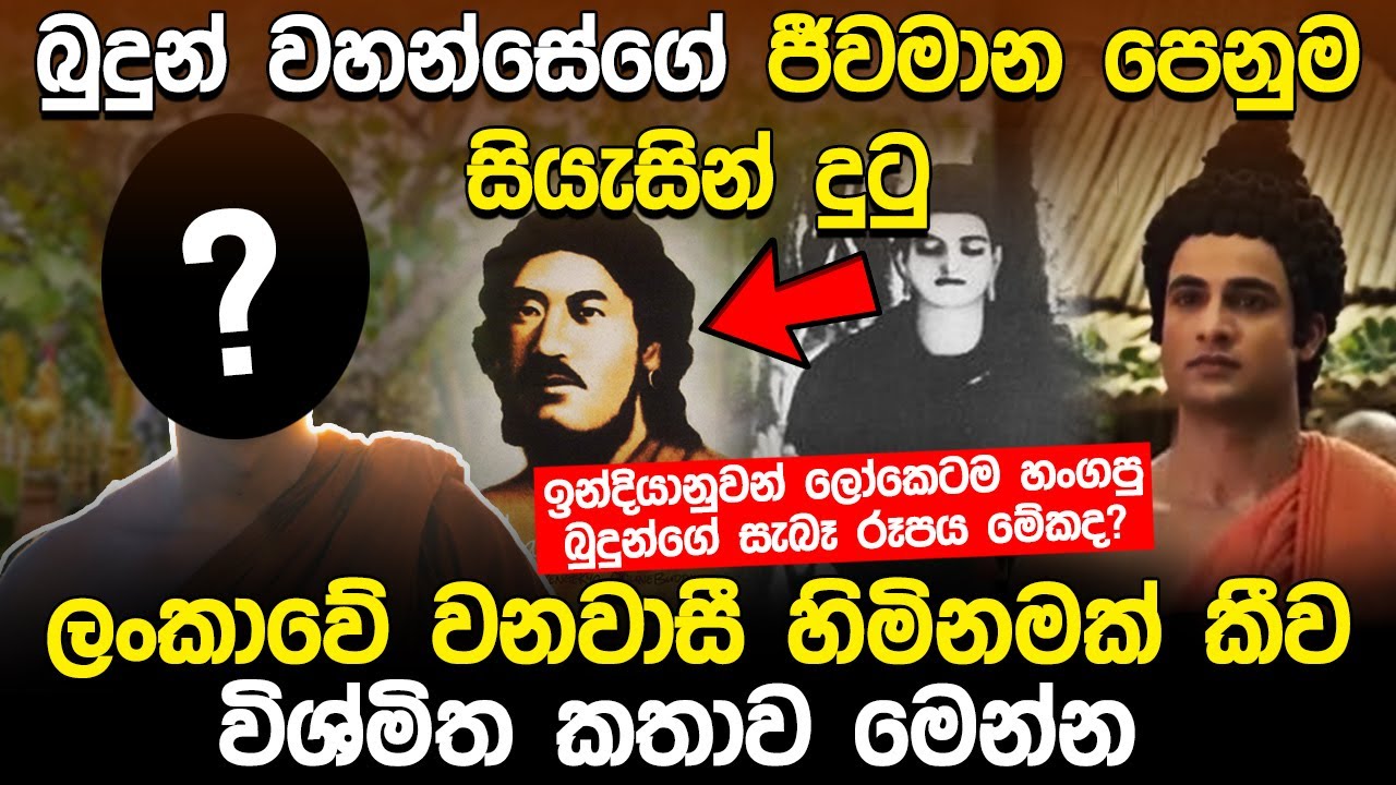 බුදුන් වහන්සේගේ ජීවමාන පෙනුම සියැසින් දුටු ලංකාවේ වනවාසී හිමිනමක් කීව විශ්මිත කතාව | Naifm Infohub