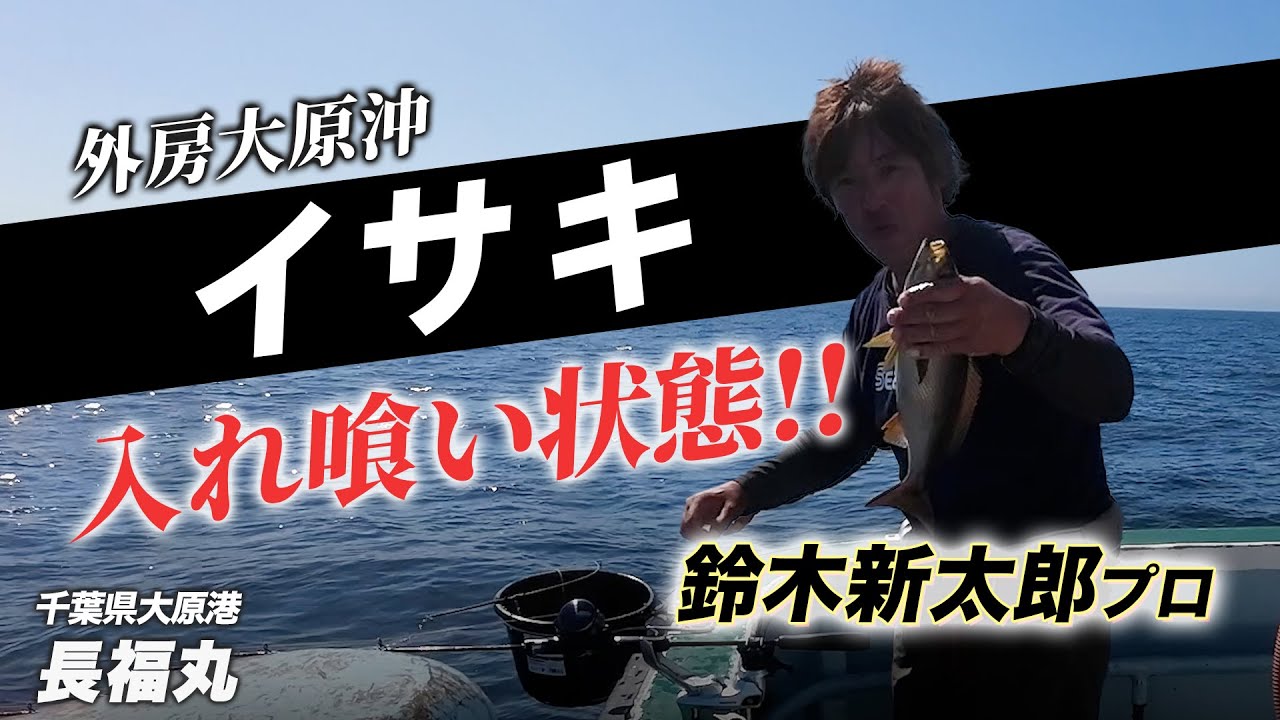 【外房イサキ釣り】これさえ守ればイサキは釣れる！？大原長福丸さんで鈴木新太郎プロにコツを聞いちゃいました！！（8'56