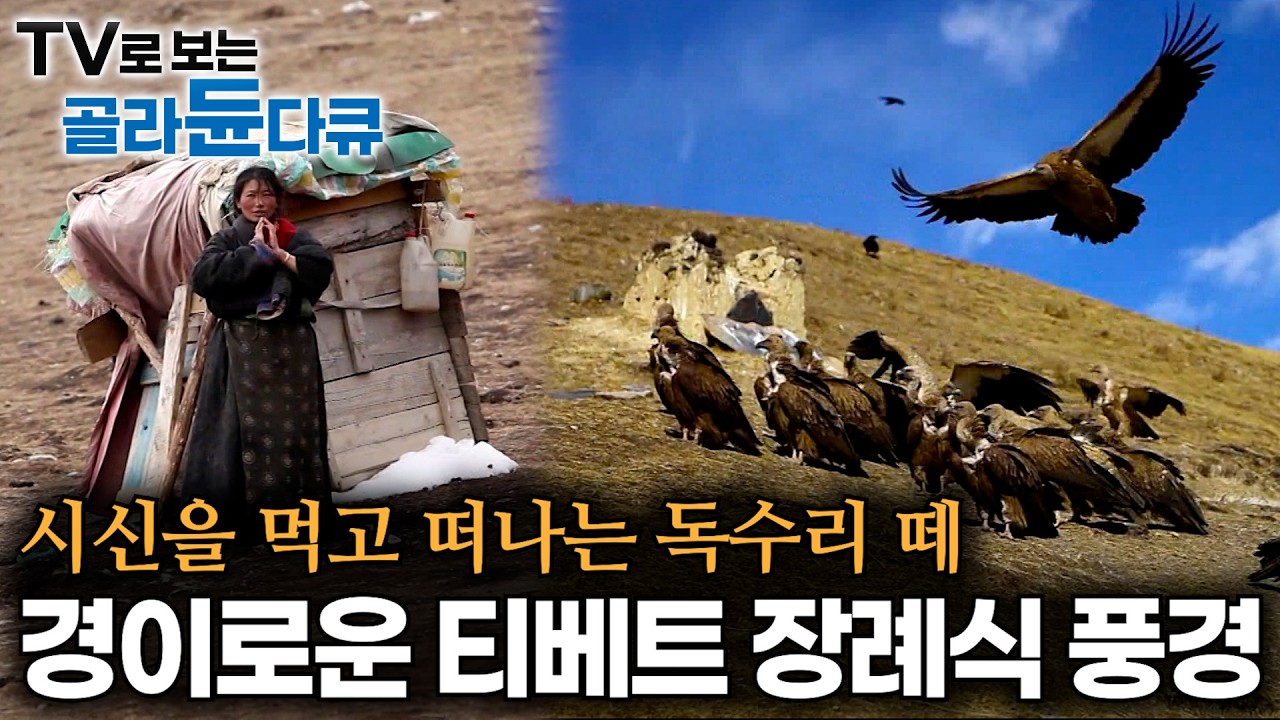 낯설지만 경이롭다. 시신을 독수리에게 바쳐 죽은 자를 하늘에 닿게 하는 티베트 장례식 '천장'｜티베트 사람들이 죽음을 받아 들이는 방법｜다큐프라임｜#골라듄다큐