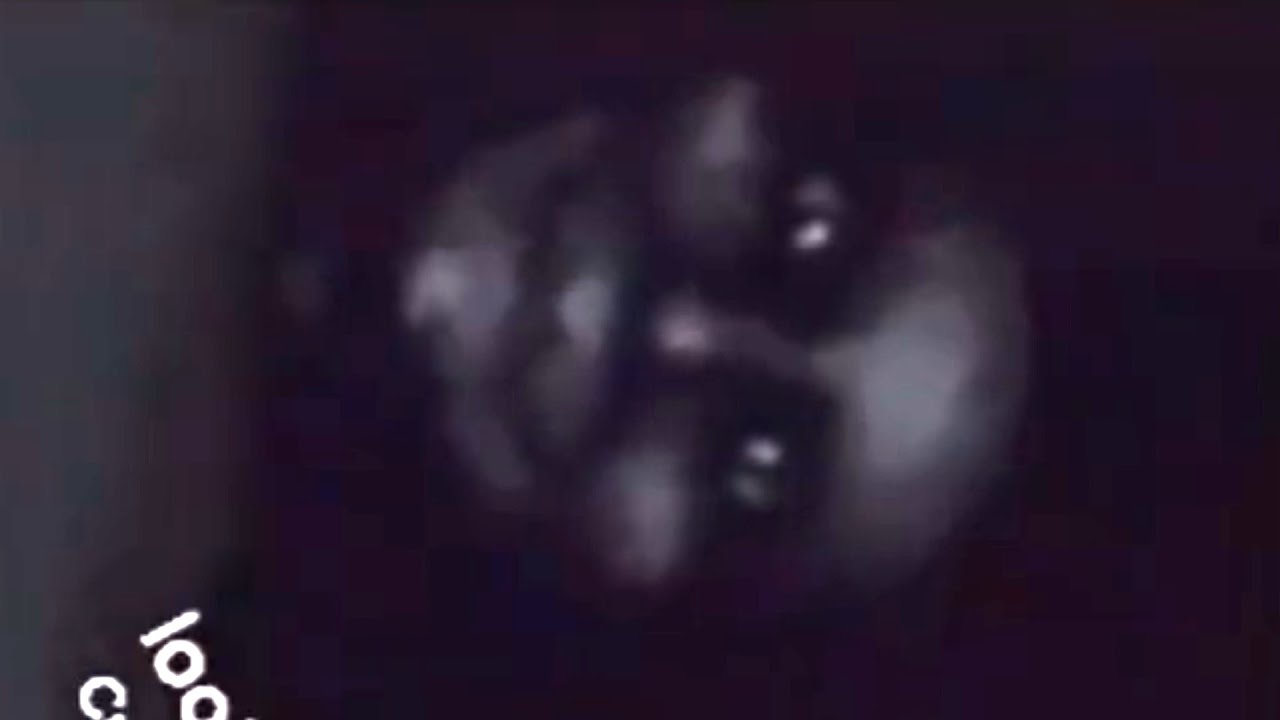 Hardboiledtoe - Девушка с демонической собакой