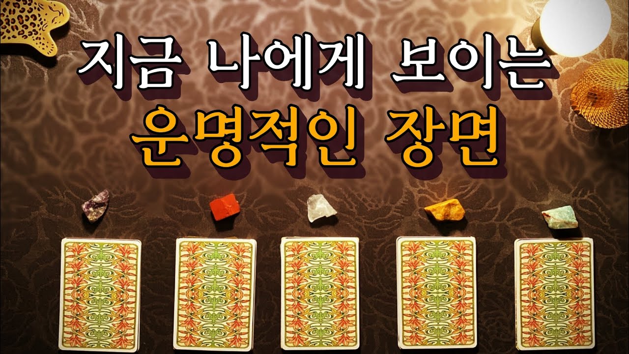 [타로카드] 지금 나에게 보이는 운명적 장면 🧞