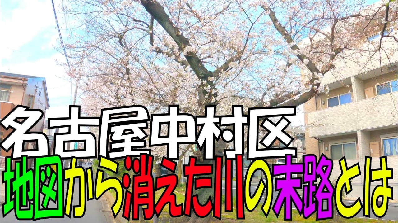 名古屋 花見スポット 中村区 五反城町 柳瀬川街園 桜並木道 2024年4月4日