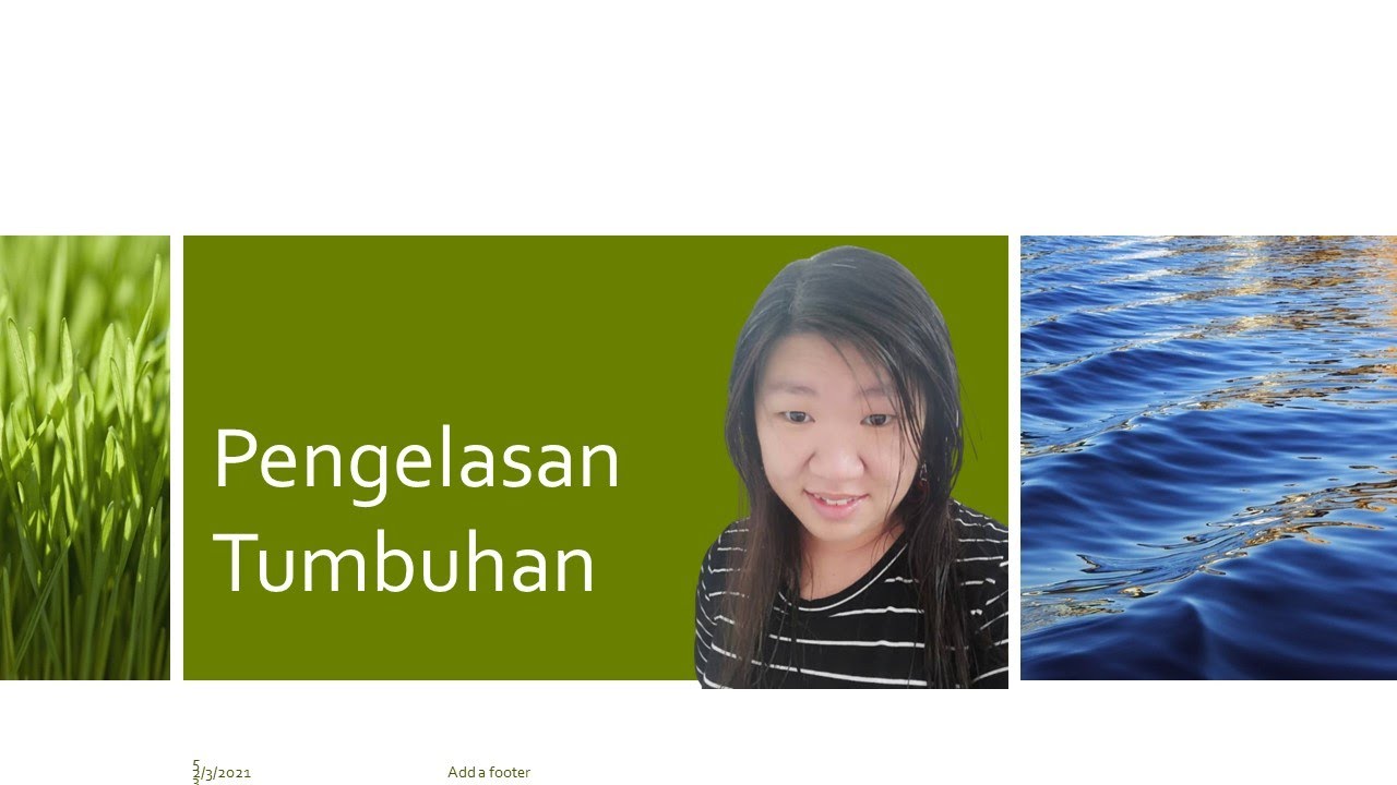 [Sains T2] Bab 1 Pengelasan Tumbuhan #KSSM #PT3