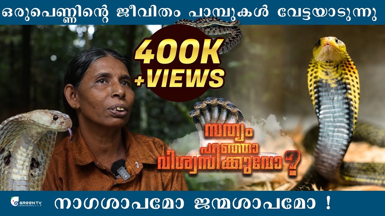 എവിടെ കണ്ടാലും പാമ്പു ഓടിവന്നു കടിക്കാൻ ഇവൾ ആരാണ് | Anita VS  Snake | Sathyam Paranja Viswasikkuvo