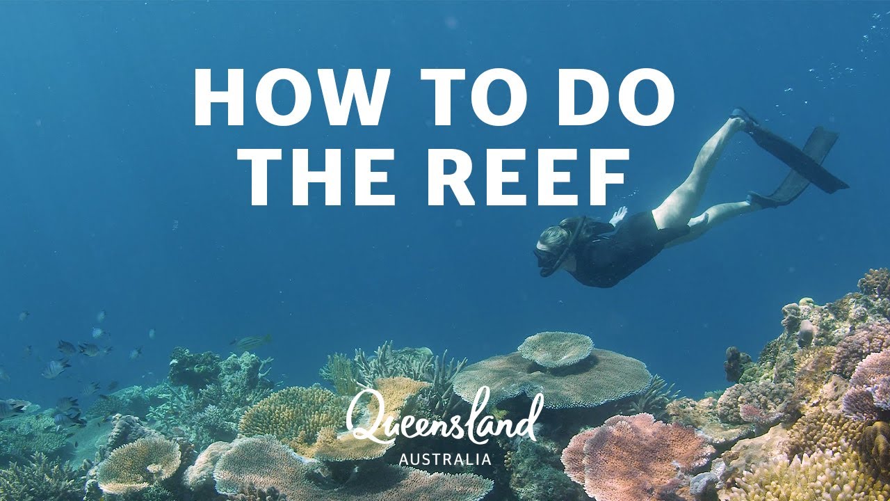 How to do the Great Barrier Reef near The Whitsundays