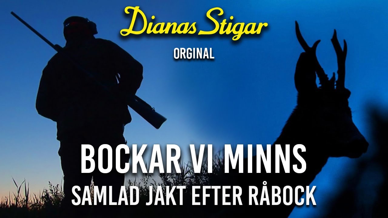 Jakt: Bockar vi minns - samlad jakt efter r&aring;bock