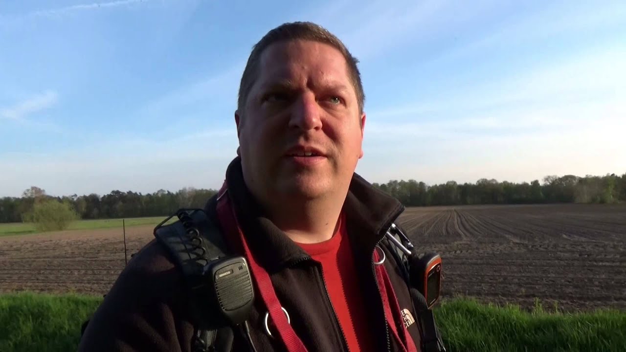 Birkenbl&auml;tter essbar!