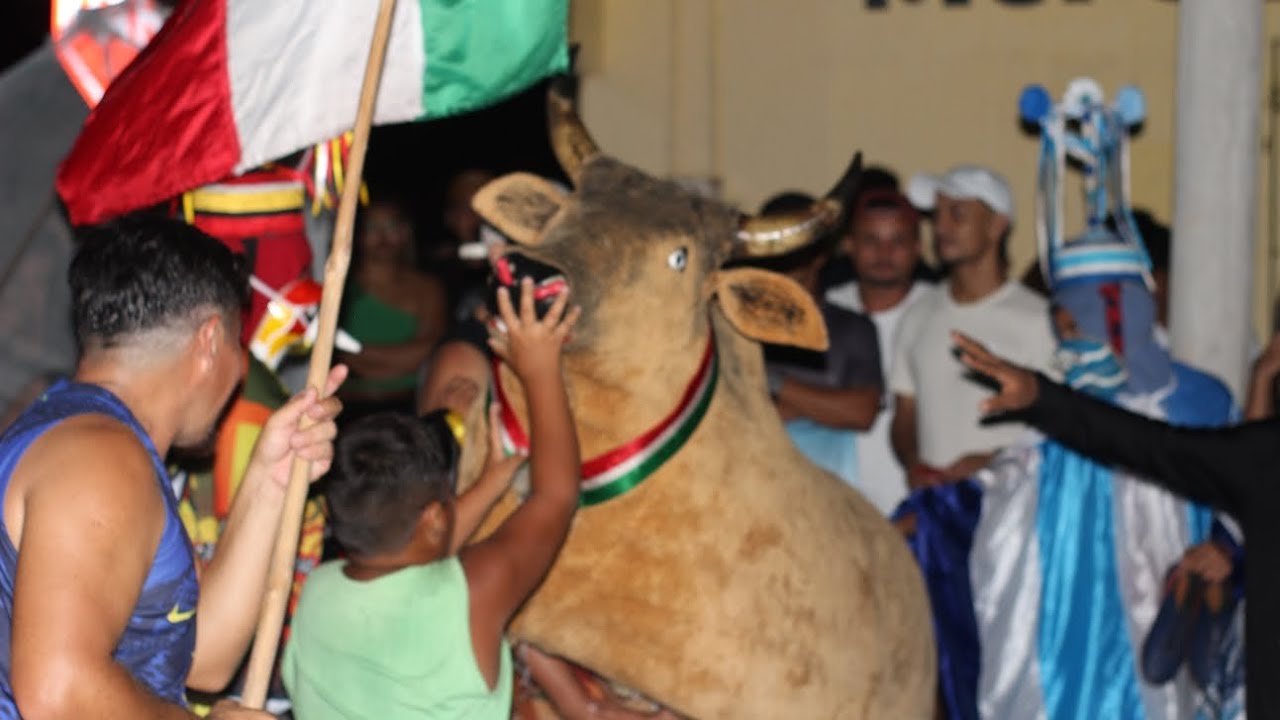 BOI BICHO FEIO - Pelas Ruas de São Caetano de Odivelas-Pará 09/06/2024