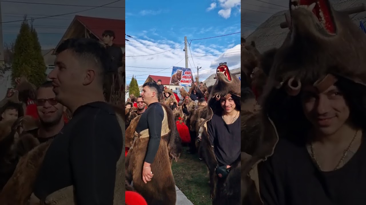 Ceata Urșilor Moinești 2023 pregătiri, Jocul ursului 2023 Moinești, Bacau