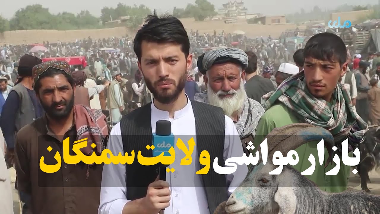 میهن من | وضعیت بازار مواشی در ولایت سمنگان با نزدیک شدن عید قربان