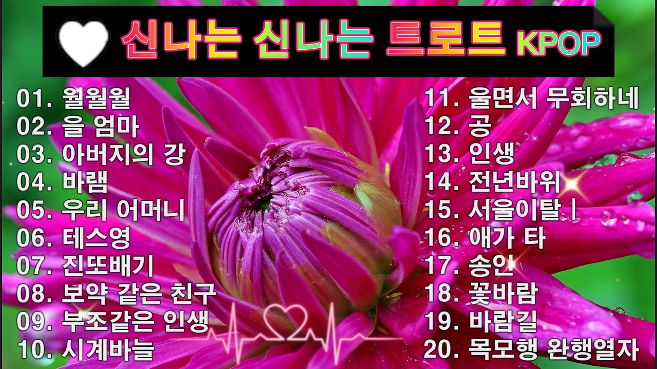 신나는 신나는 트로트 KPOP (TROT) PLAYLIST 💸 ( 꽃길.상사화.여인의 눈물.회룡포.바람길...) #Kpop