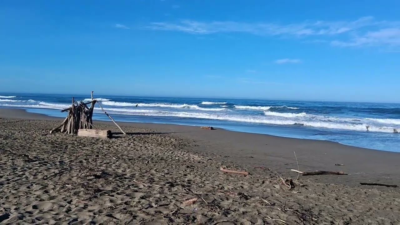 Walk along Salmon creek beach, Sonoma Coast, California, 3/16/26