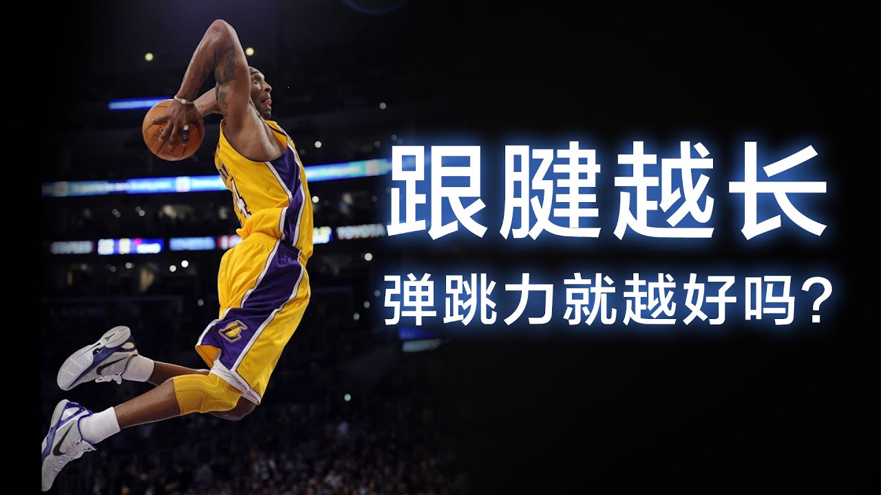 跟腱越长，弹跳力就越好吗？