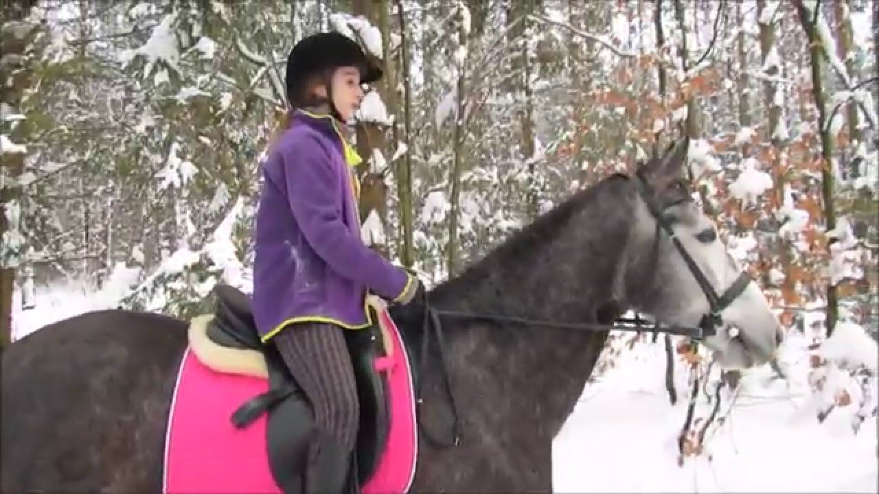 NAJLEPSZY VLOG ZE STAJNI | GALOP W TERENIE | DZIEŃ Z KONIEM