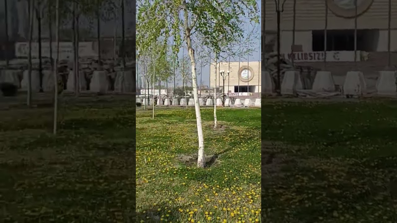 05,04, 2024 г.