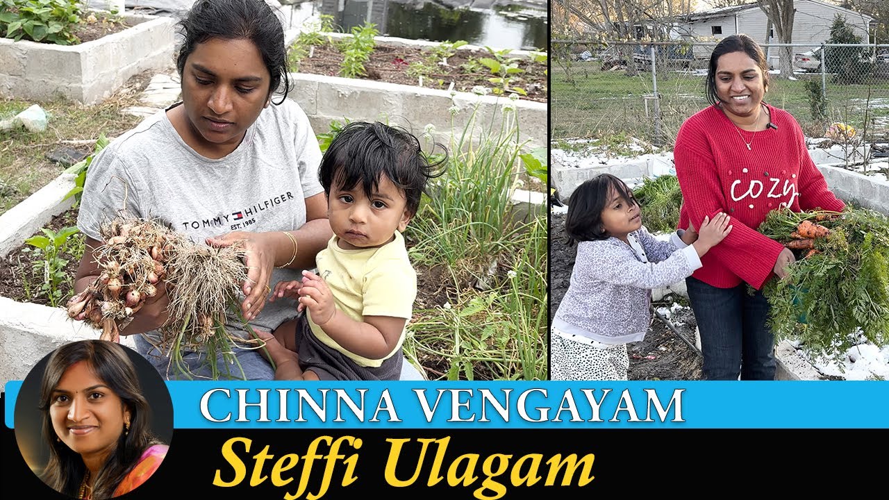 Chinna Vengayam Valarkum Kadai | Growing Small Onion at home in Tamil