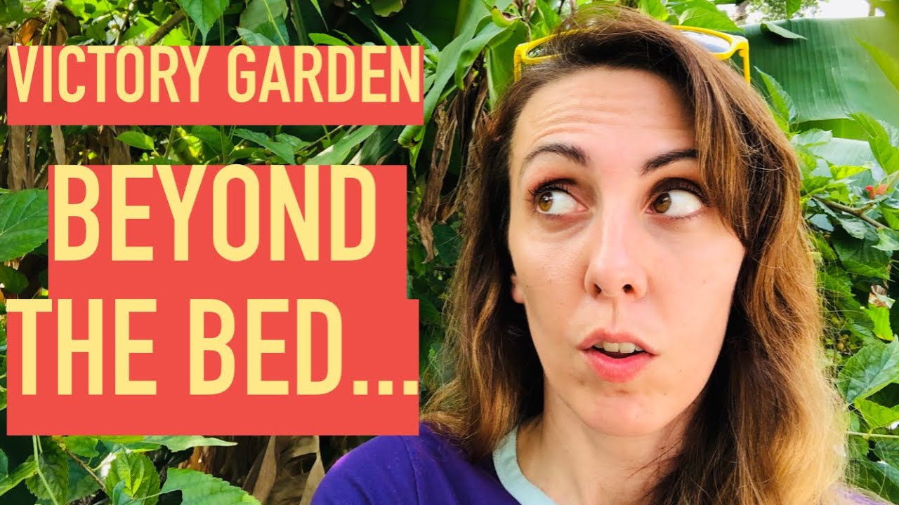 Beyond VICTORY GARDENS: INCREASE FOOD SECURITY with a PERMACULTURE FOOD FOREST | VICTORY GARDEN Ep.7