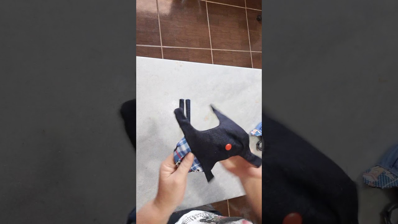 Como fazer bonés Pet 🧢