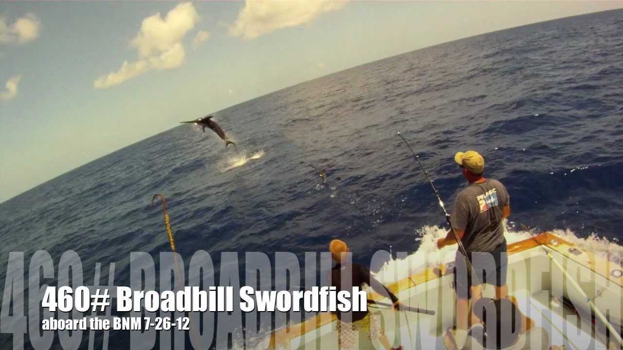 460# Broadbill Swordfish on the Bn'M