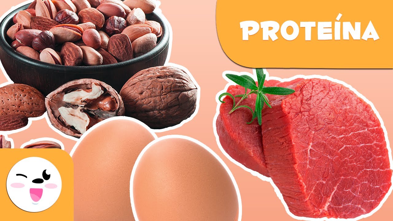 O que são as proteínas? - Alimentação saudável para crianças