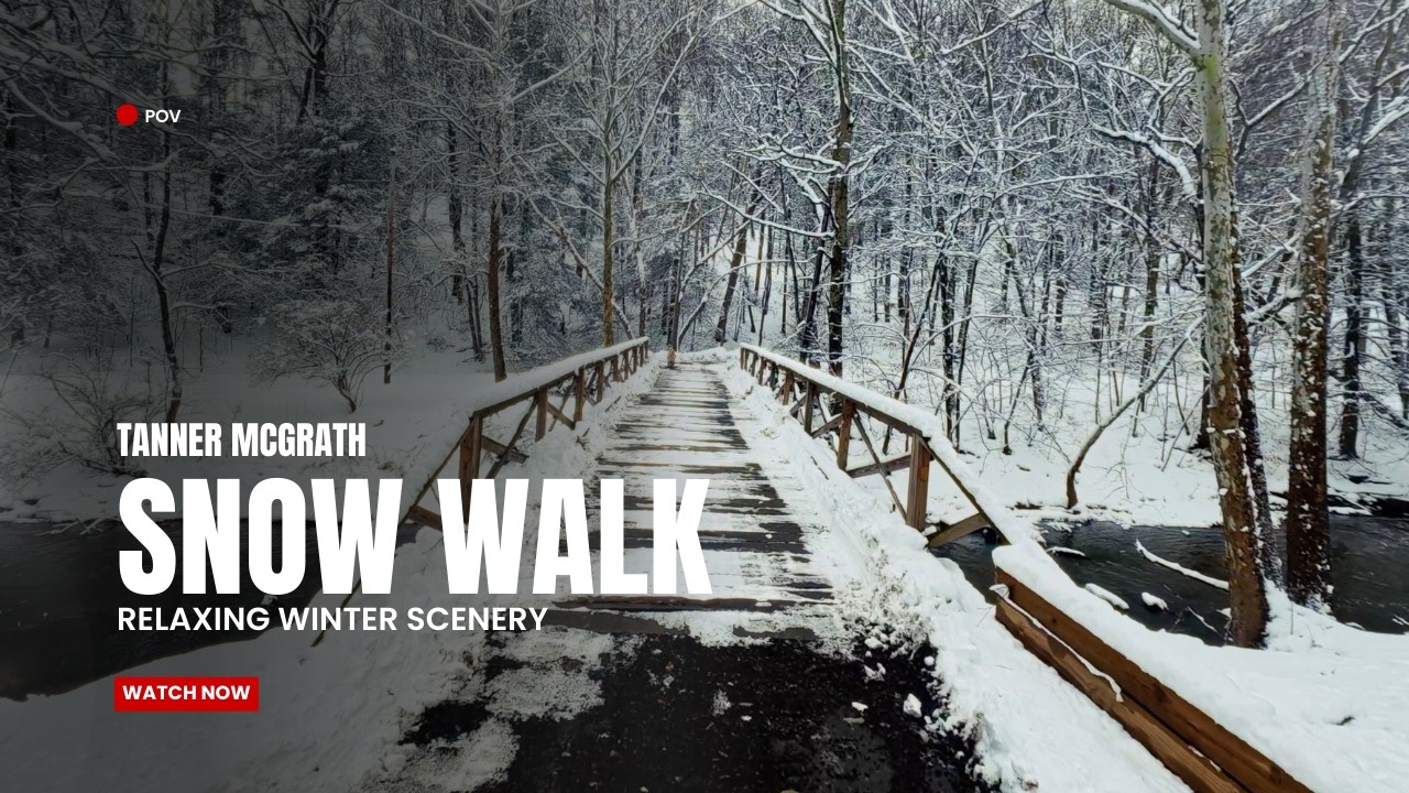 POV Snow Walk in Nature | Relaxing Winter Scenery