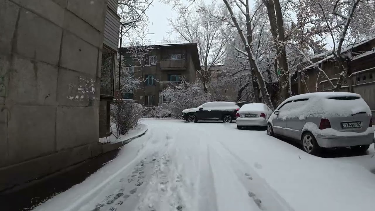 12 февраля 2026