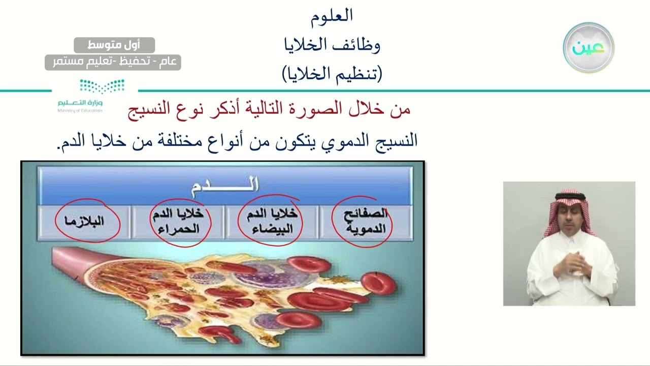 وظائف الخلايا (تنظيم الخلايا ) - العلوم - أول متوسط