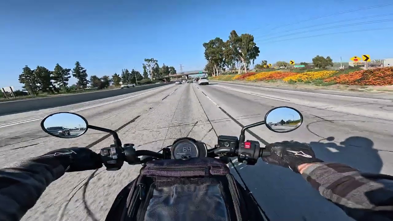 Homicide on the 605 | 2023 HONDA REBEL 1100 DCT