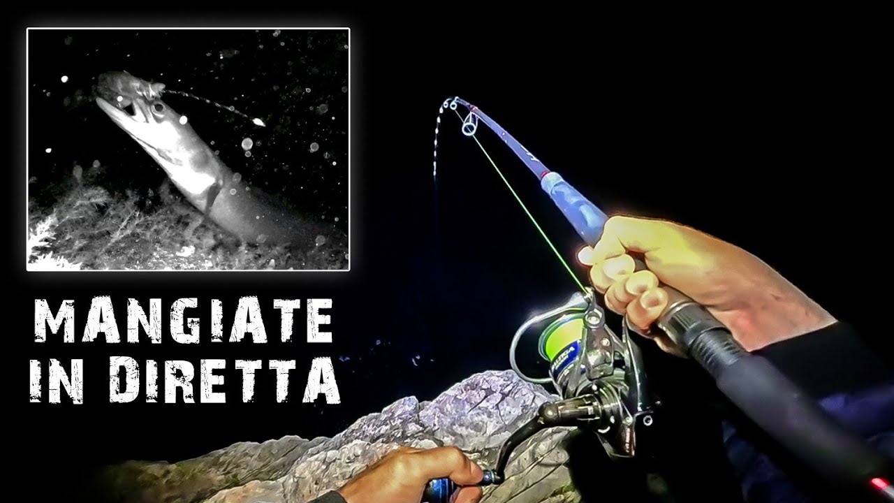 Pesco a FONDO di NOTTE con una videocamera subacquea - ft. CanFish CF1