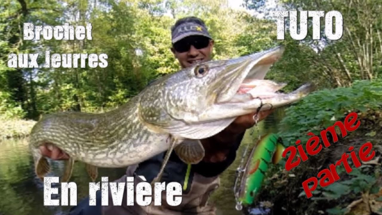 TUTO: Pêche aux leurres du brochet en rivière 2 ième Partie