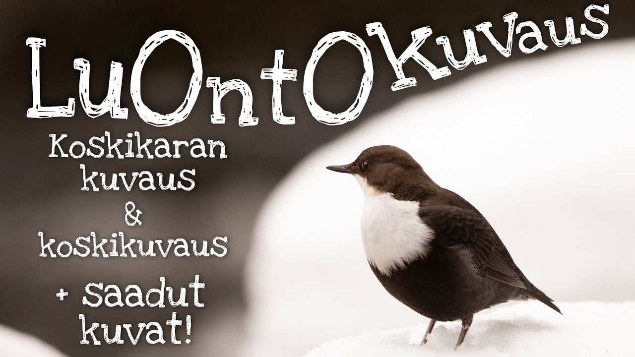 Luontokuvaus - Koskikara - ND-filtterill&auml; pehmeit&auml; koskikuvia - p&auml;iv&auml;retki liukulumikengill&auml;