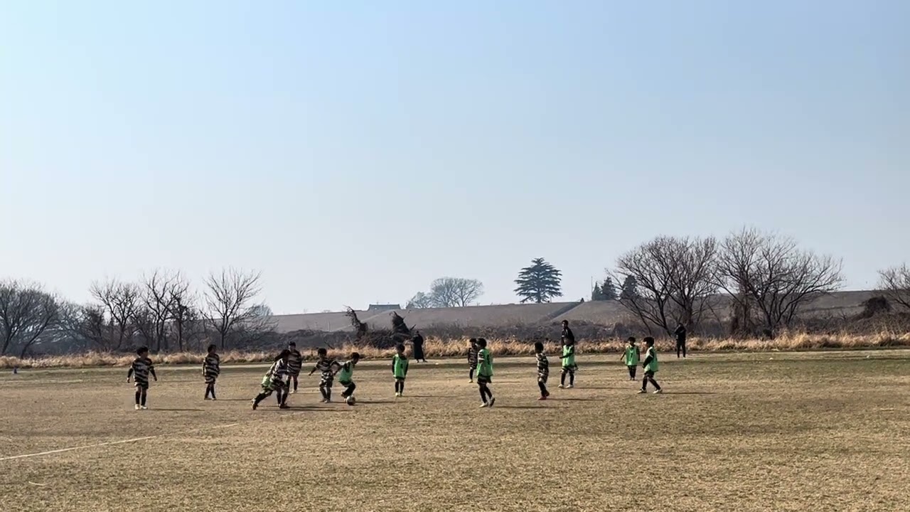 2026年2月15日