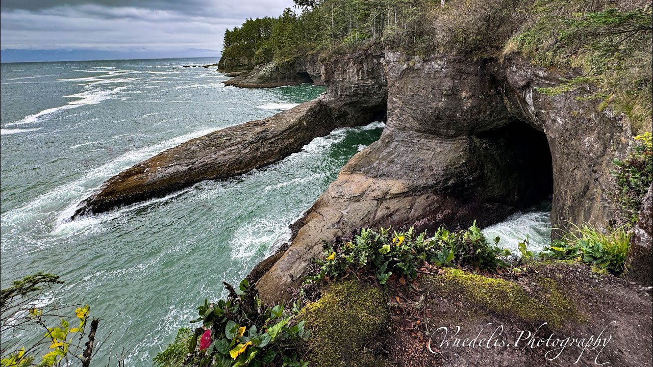 Day 3/365 days of views! Take a hike with me to Cape Flattery 