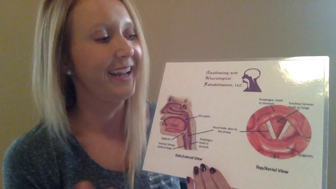 What can we see on a Fiberoptic Endoscopic Evaluation of Swallowing (FEES)?