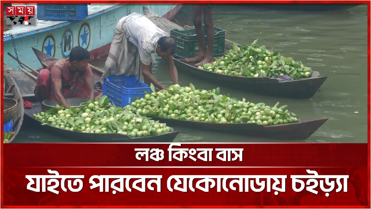 কেমনে যাবেন বরিশাইল্যা পেয়ারা বিলে | Floating Guava Market Barisal | Somoy TV