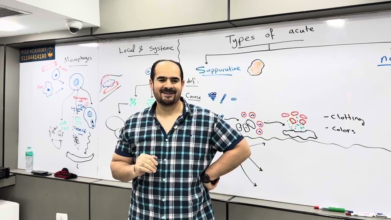Inflammation 2 | Module 208| 198|د.عبدالرحمن خليفه - القصر العيني 