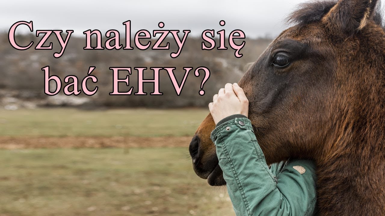 O EHV bardzo w skr&oacute;cie...